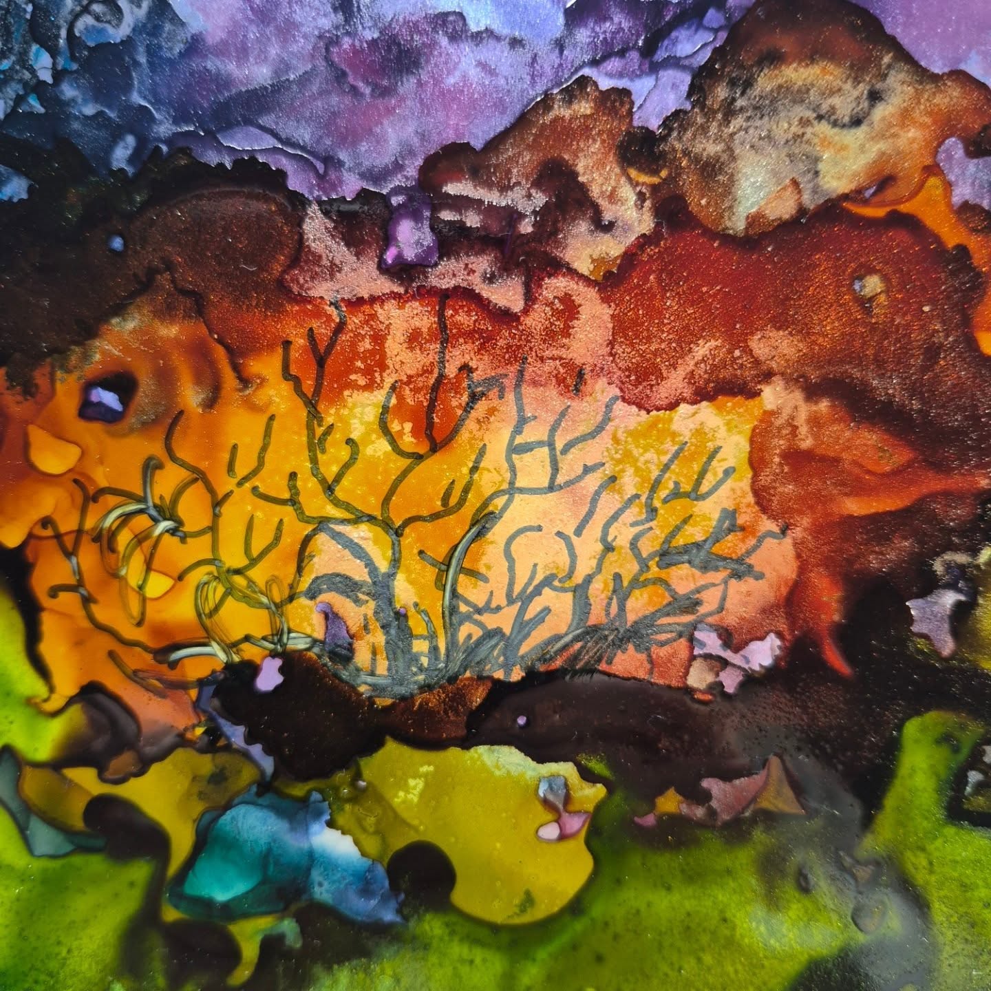 Burning Bush