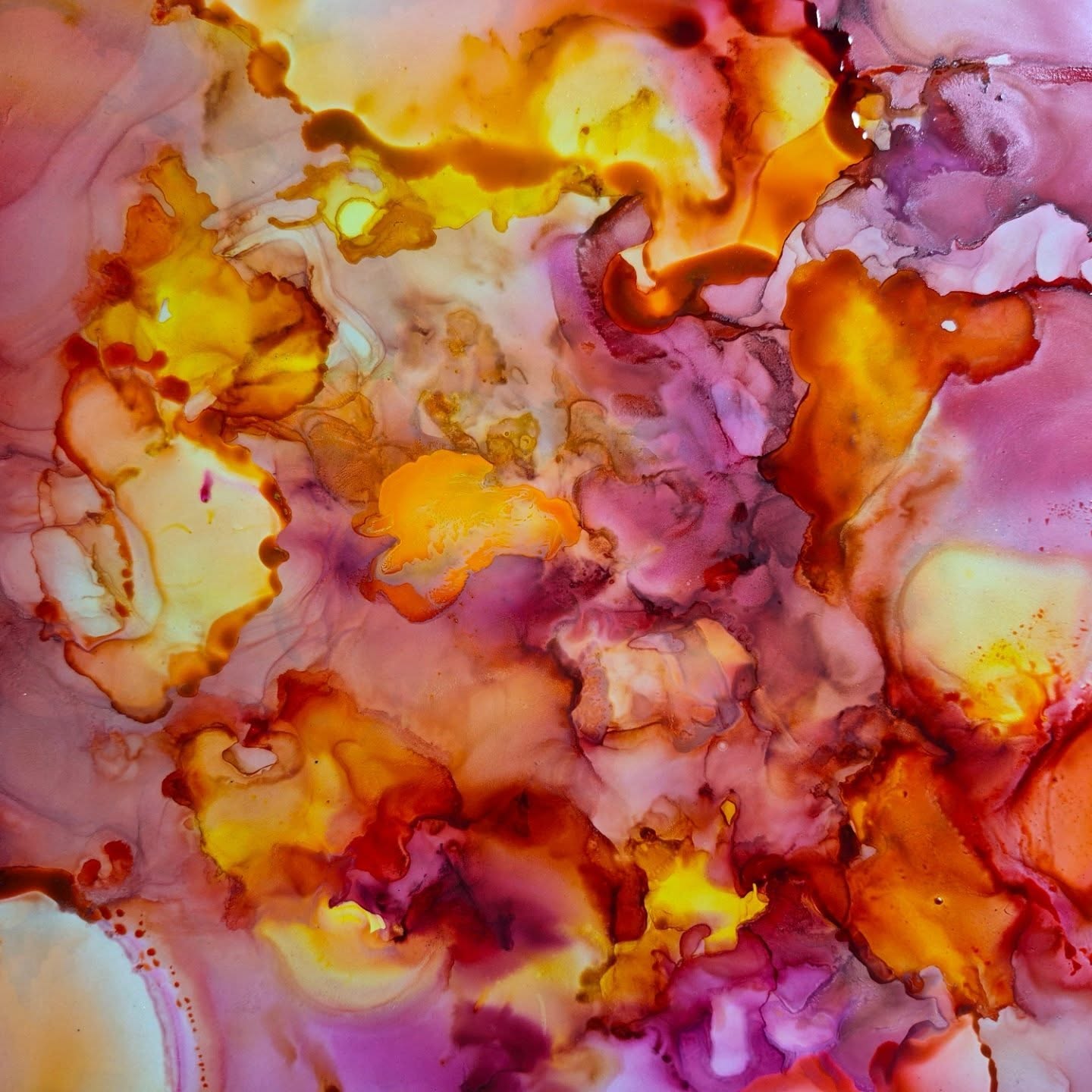 Flower Petals