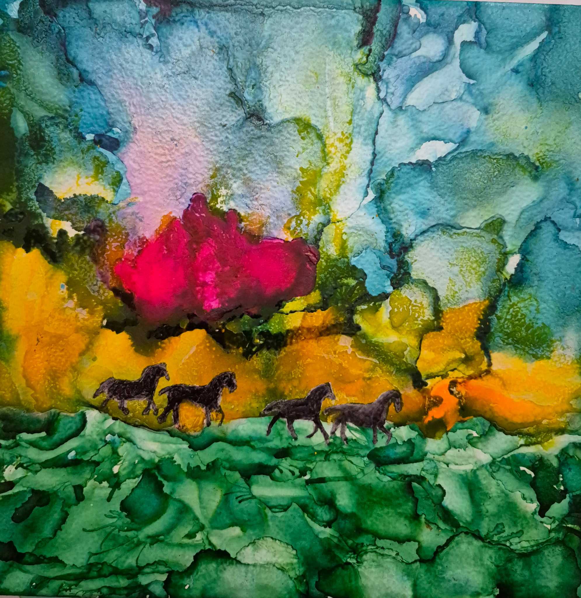 Wild Horses