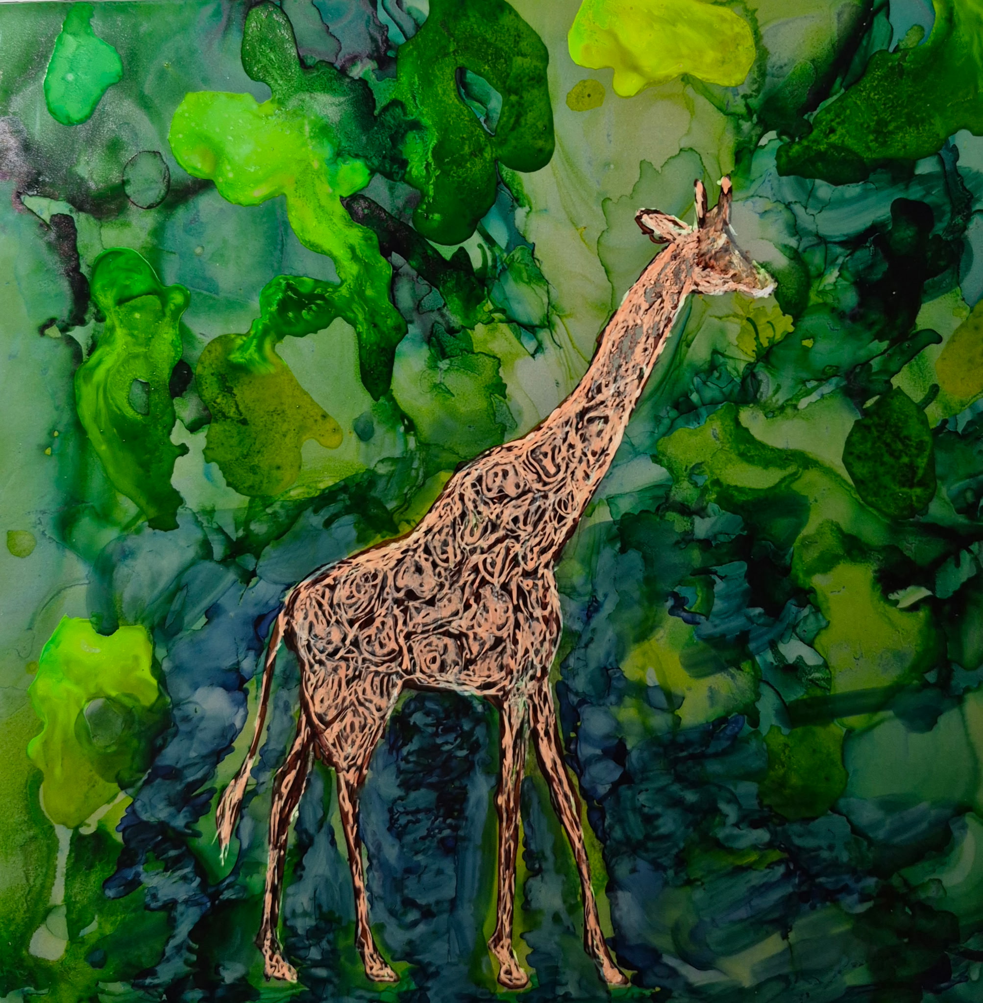 A Giraffe