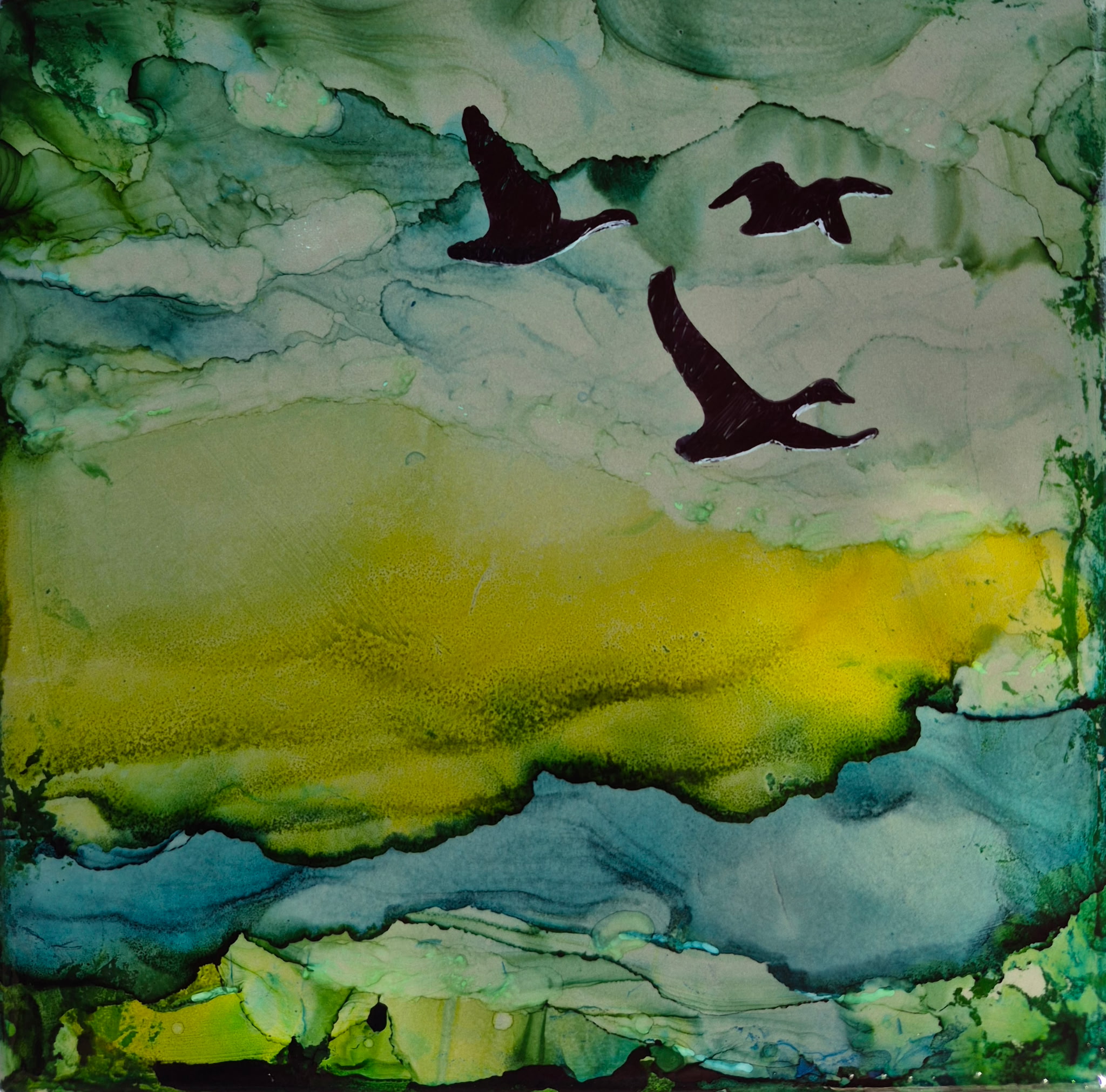 Fly the Sky
